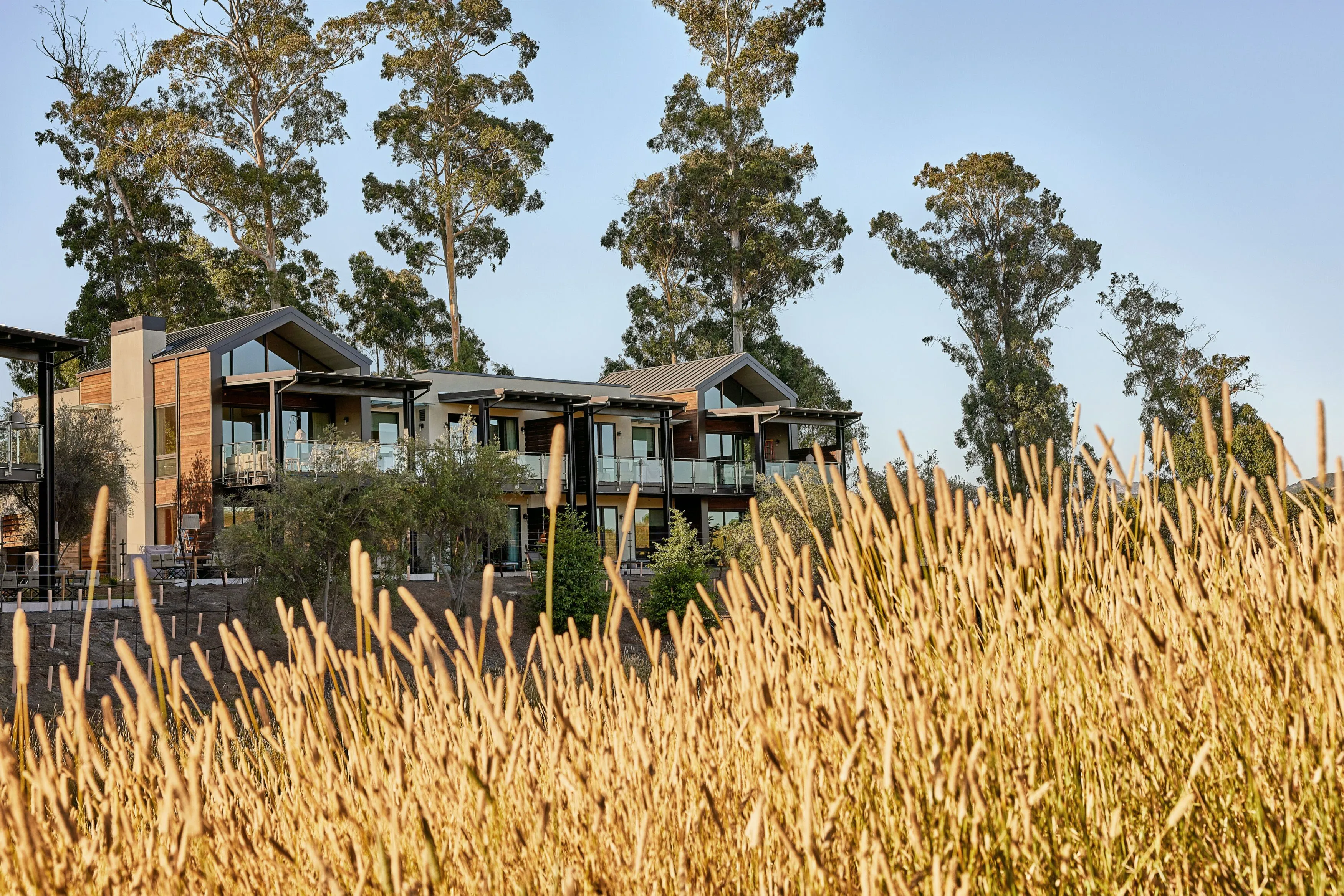 Stanly Ranch — photo 4