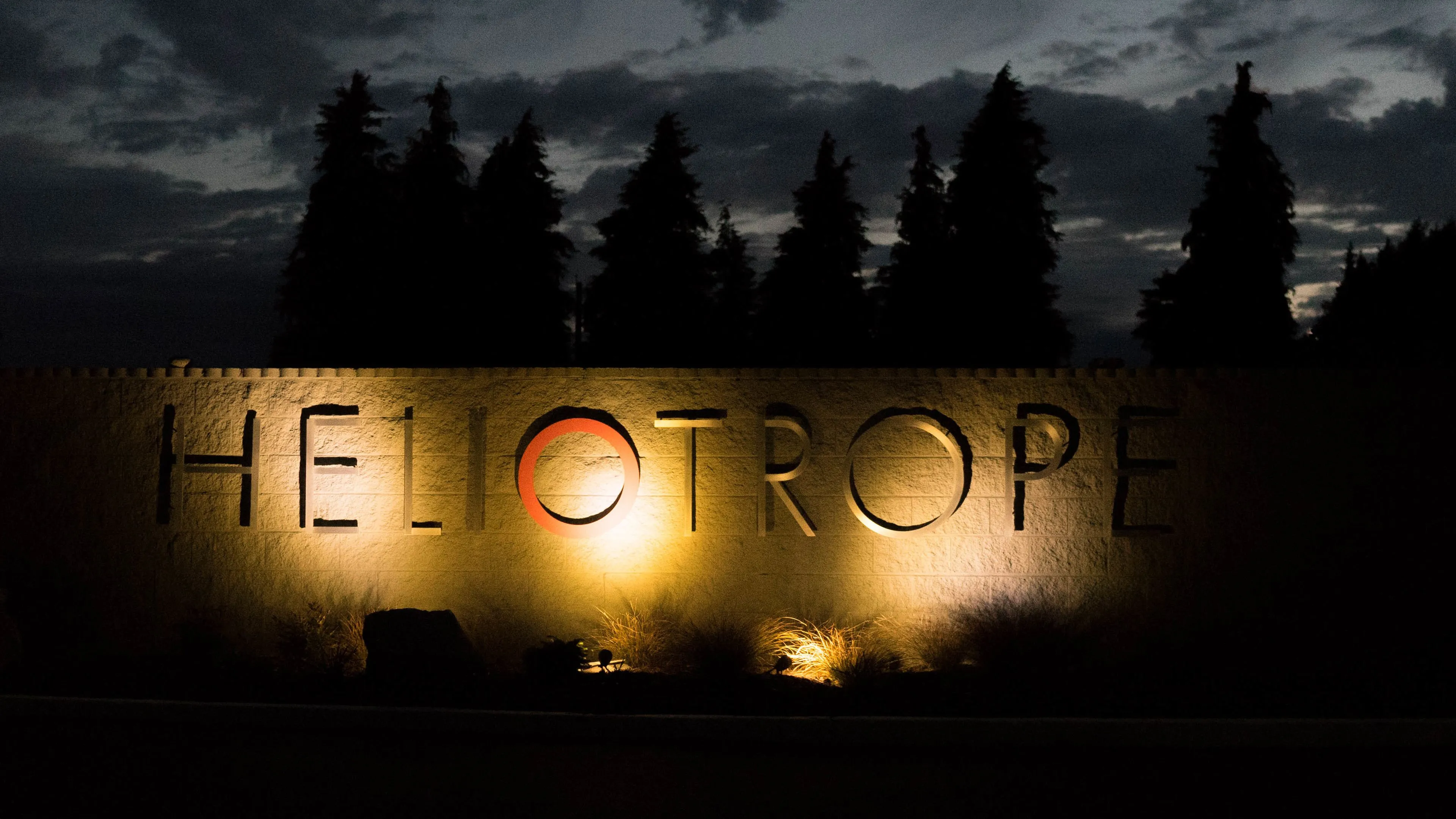 Heliotrope Hotel — photo 5