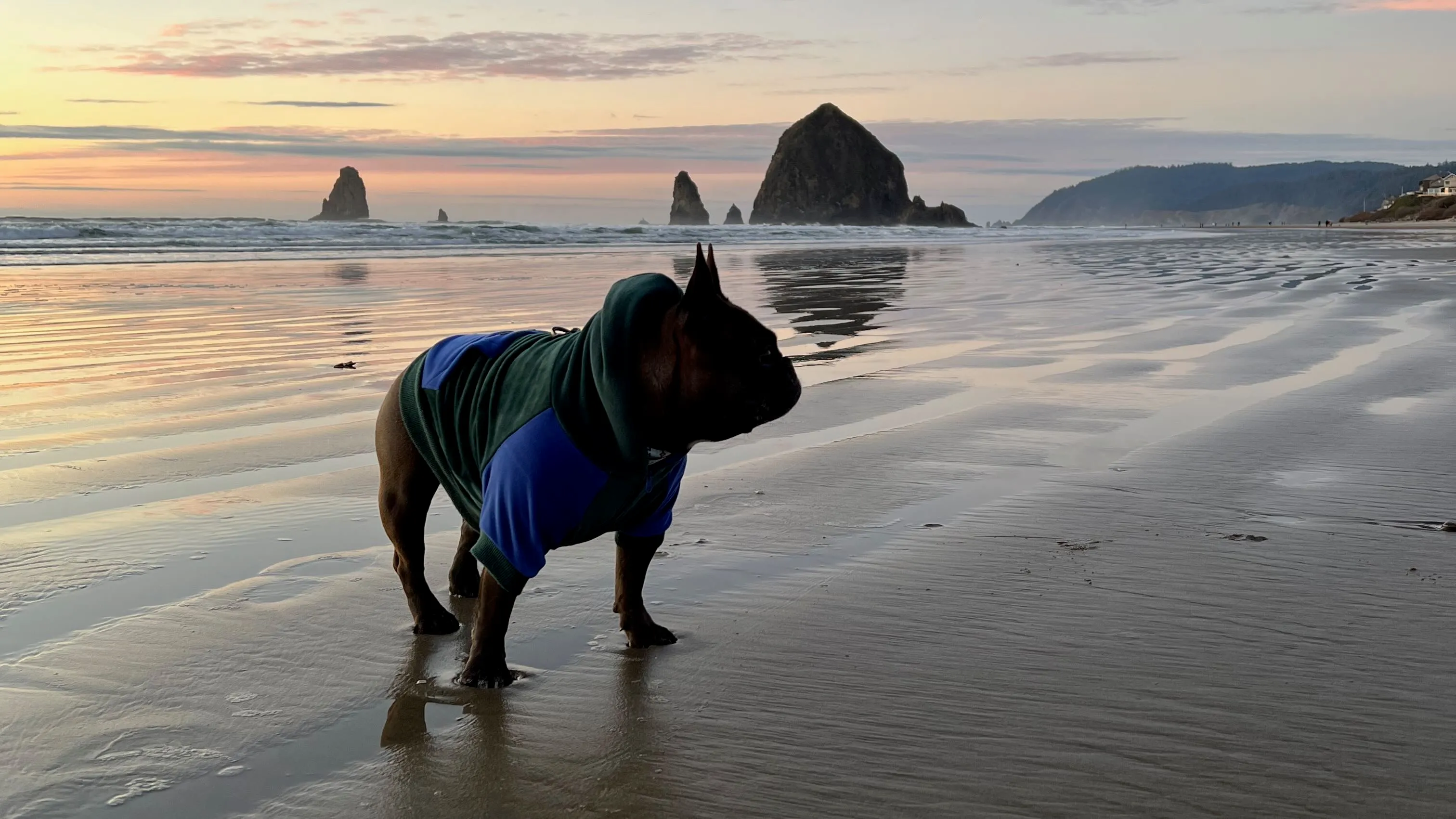 Roxy on Cannon Beach, Oregon.