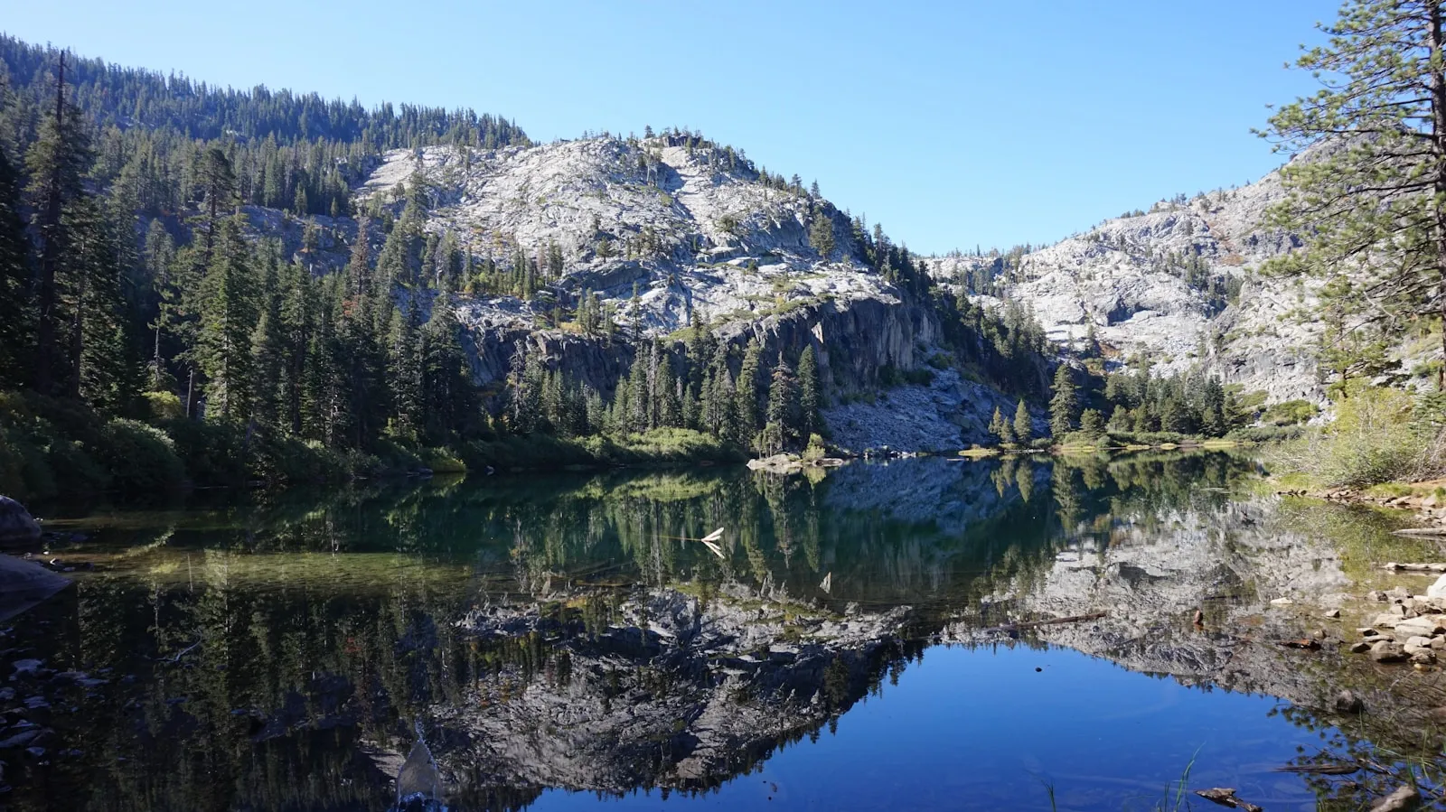 Green trees lining the shore of Lake Tahoe, California.