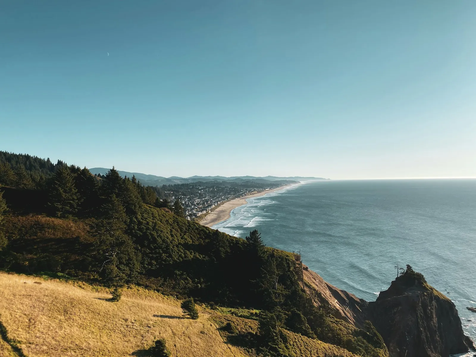 Green trees on a hillside above the coast at Lincoln City, Oregon.