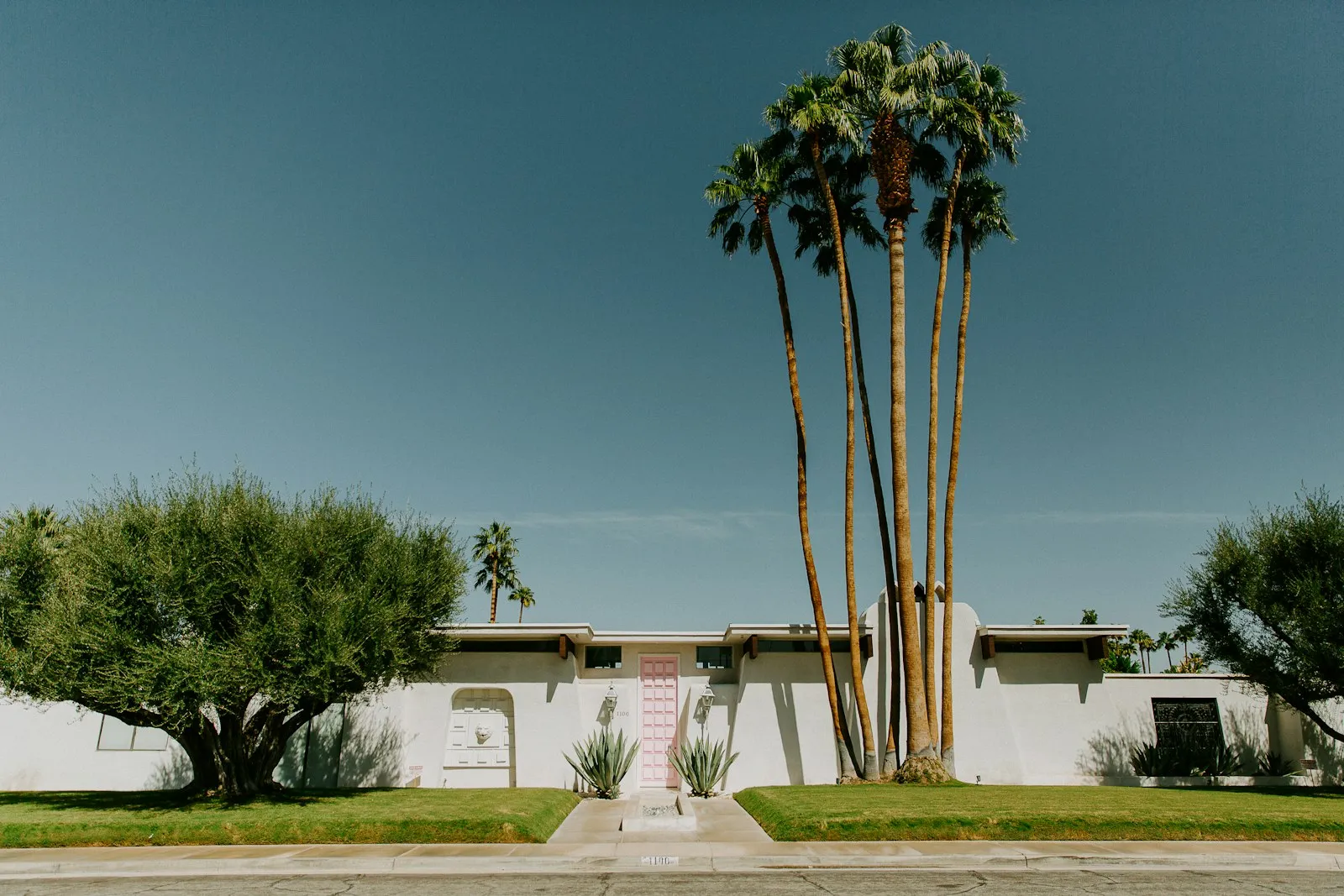 Palm trees against a clear sky in Palm Springs, California.