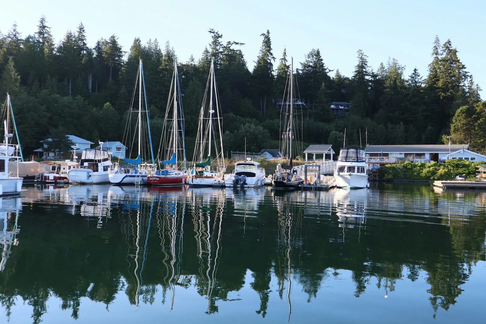 Sailboats and boats moored at Port Ludlow Marina in Washington.