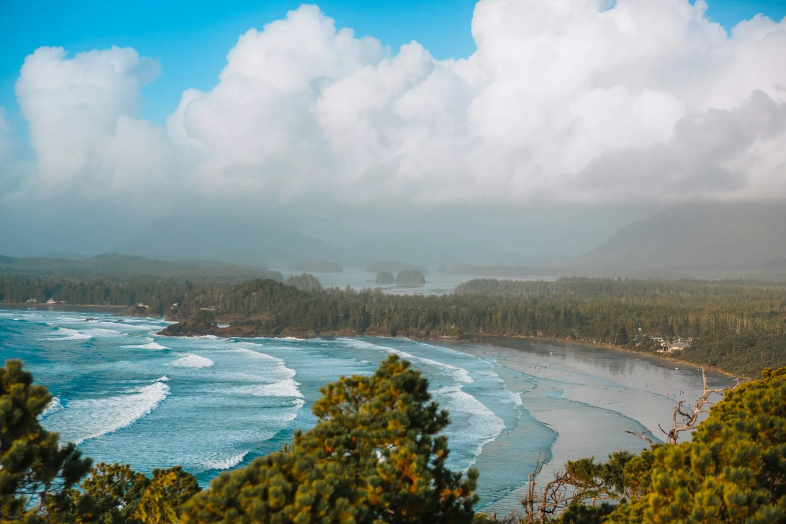 Ocean view from a hill in Tofino, British Columbia.